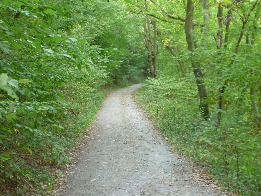 Waldweg