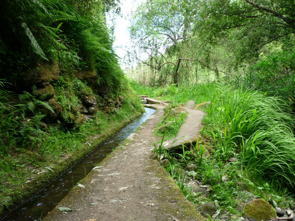 Levada