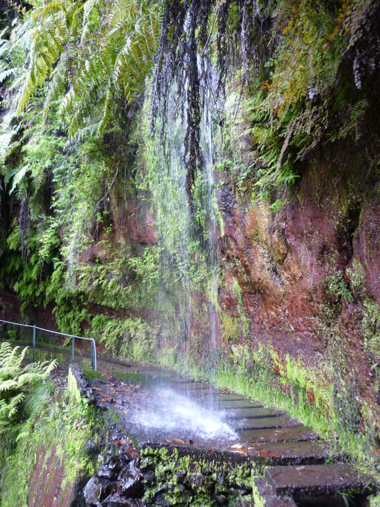 Levada