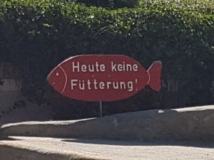 Mehr über den Artikel erfahren FODMAP und Reizdarmsyndrom