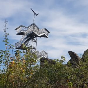 Mehr über den Artikel erfahren Wanderung mit Loreleyblick und Blauflügeliger Ödlandschrecke