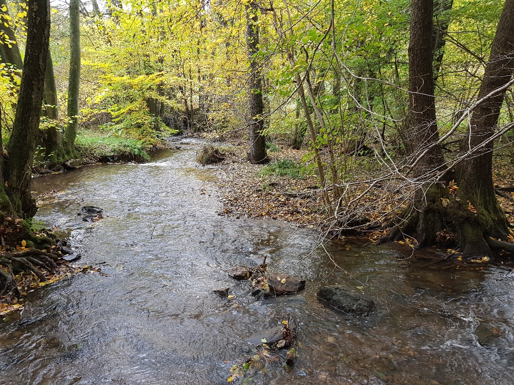 Du betrachtest gerade Wanderung im oberen Gelpetal