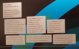 Mehr über den Artikel erfahren Der Evolutions-Weg