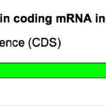 Coronavirus-Impfstoff BNT162b2 in den USA vor der Notfallzulassung!