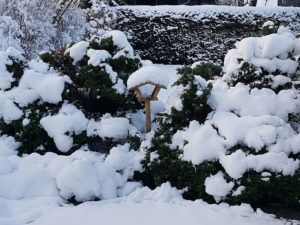 Mehr über den Artikel erfahren Winterschlaf