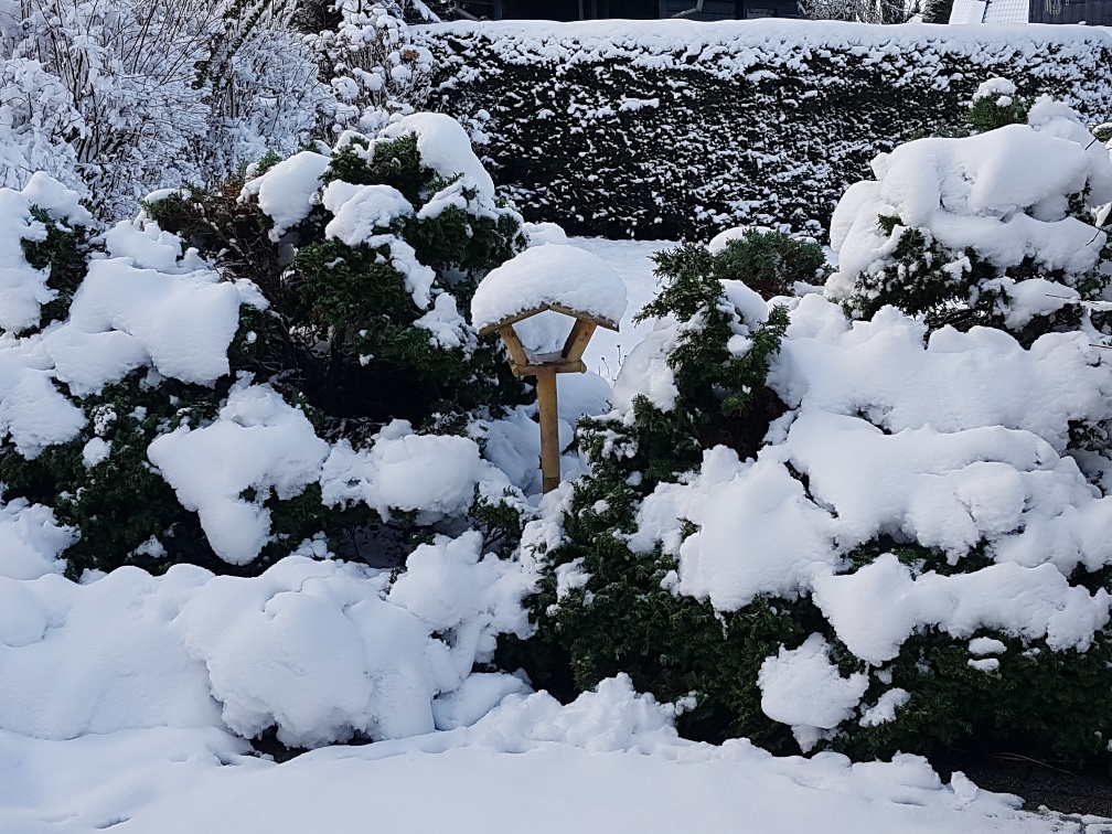 Mehr über den Artikel erfahren Winterschlaf