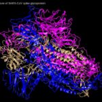 AlphaFold löst das Protein-Faltungsproblem