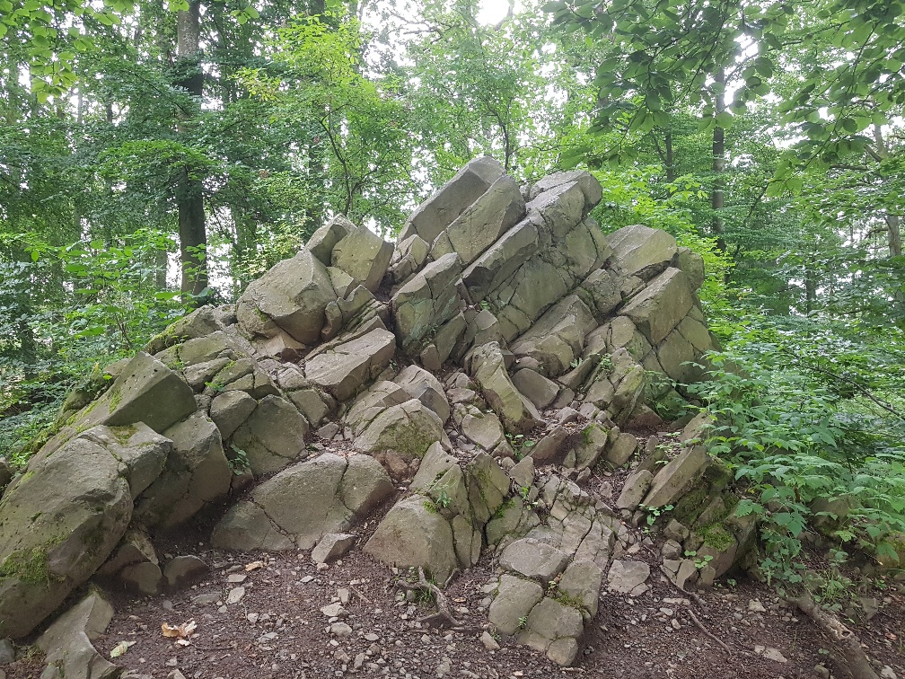 Read more about the article Zum Königsstuhl auf dem Himberg, der Kreuzschanze, zum Frauenkreuz und zurück