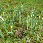 Kein Frühling in Sicht