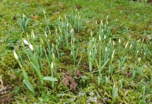 Mehr über den Artikel erfahren Kein Frühling in Sicht