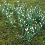 Lockerungen in Sicht?