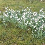 Nicht nur Russland-Krise