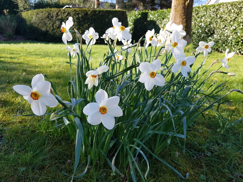 Mehr über den Artikel erfahren Ostern paradox