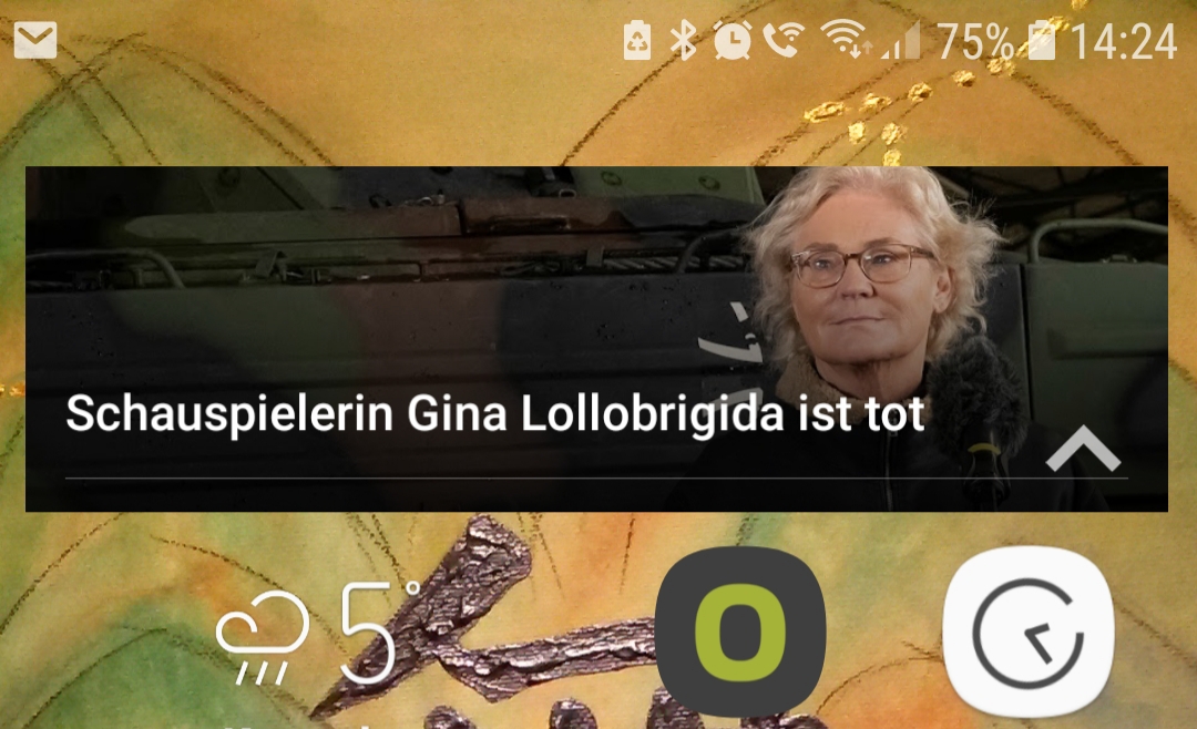 Mehr über den Artikel erfahren Deutschland zögert mit der Panzerlieferung