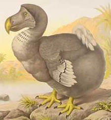Read more about the article ChatGPT: Der furchtlose Dodo