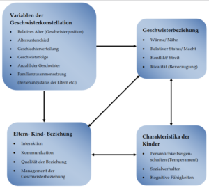 Mehr über den Artikel erfahren Geschwister als Schicksalsgemeinschaft