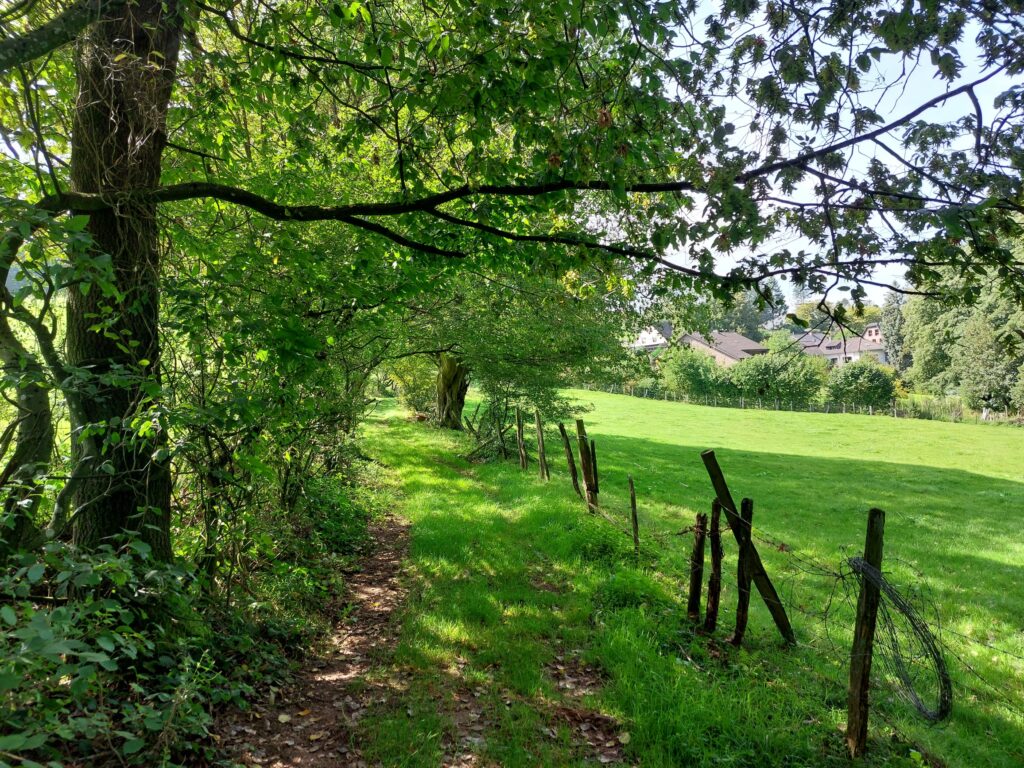 Bachtal zu Dicke Hecke