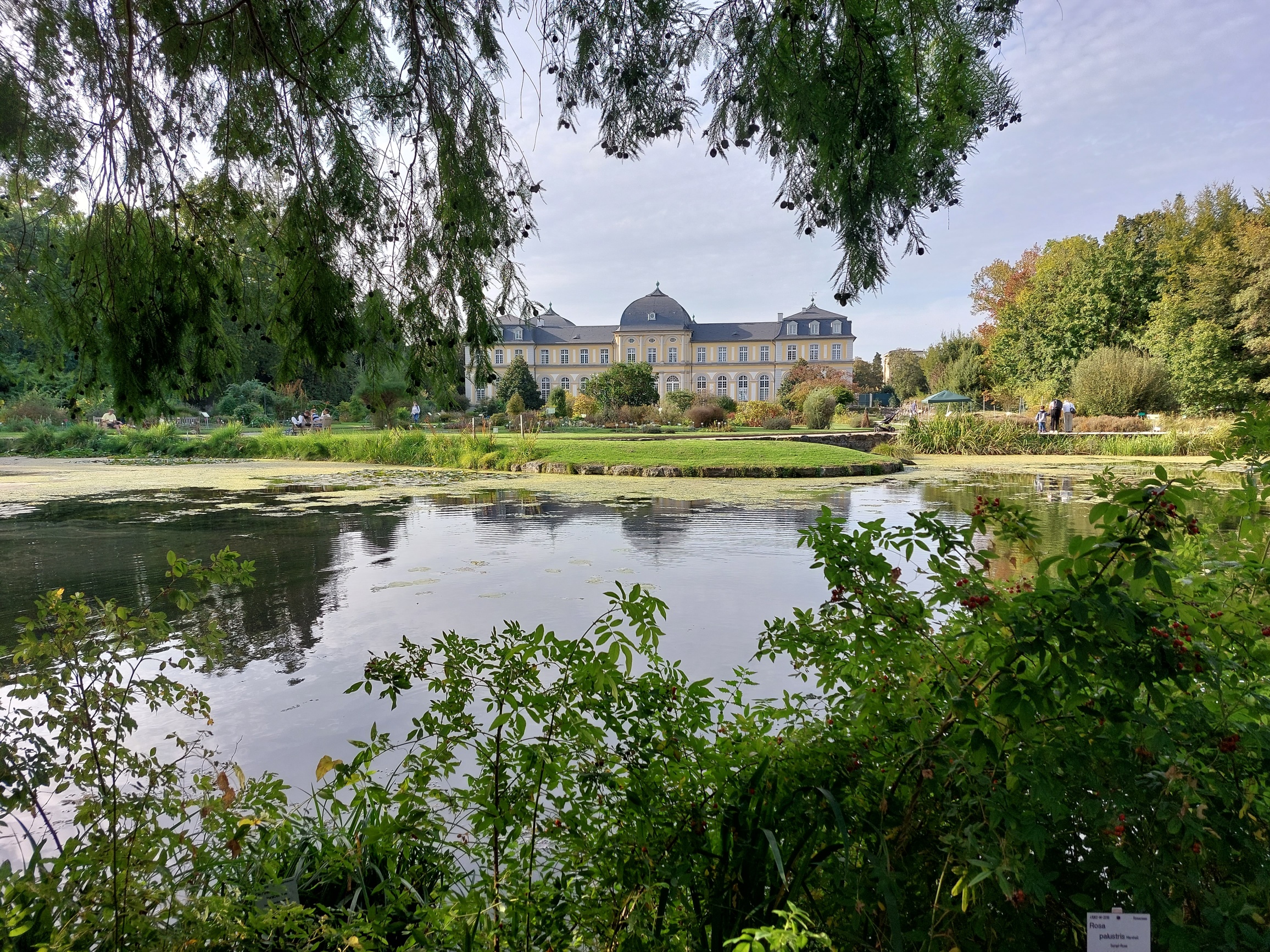 Read more about the article Eindrücke aus der Bundesstadt Bonn