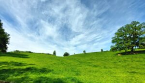 Wolken und Viehweide