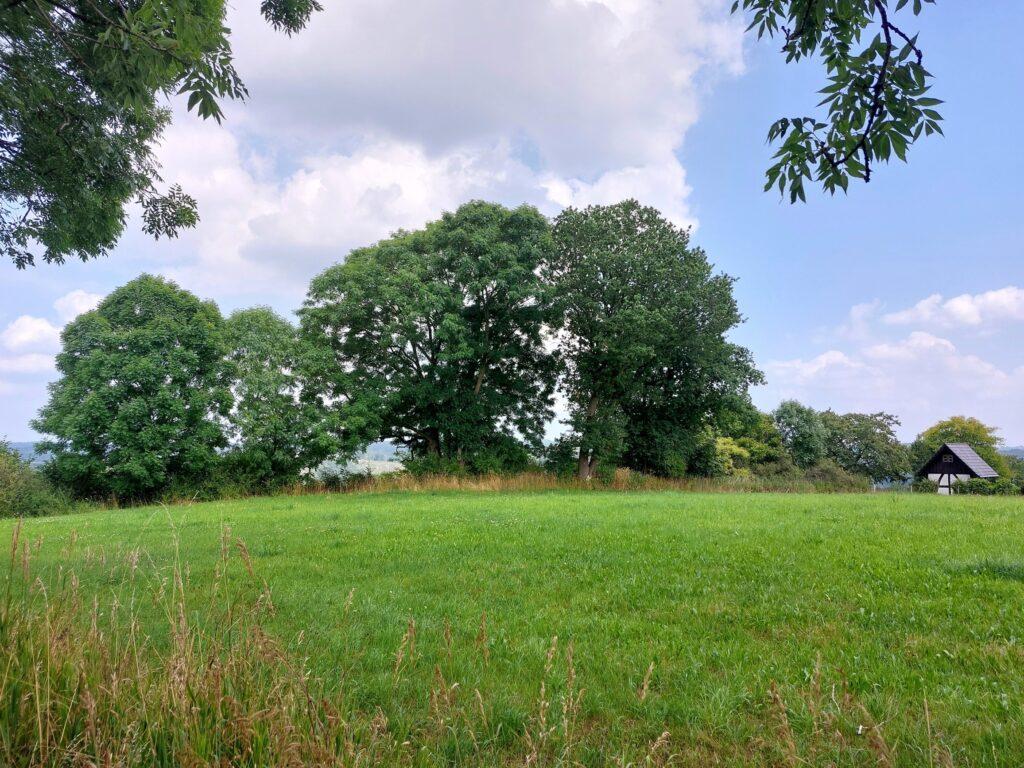 Anhöhe Nottloher Pfad