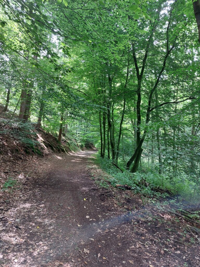 Oberes Tal der Hülsenbecke