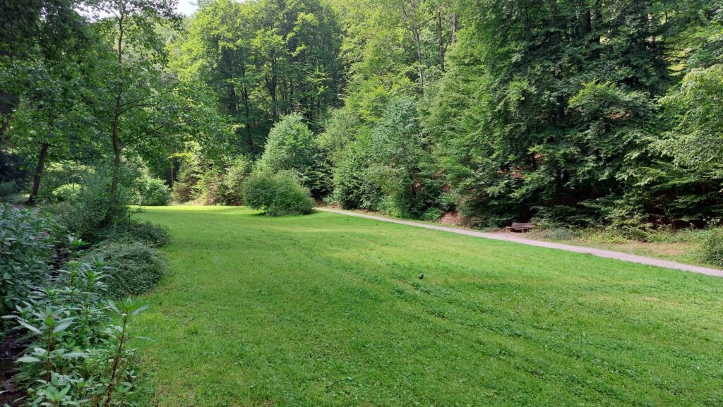 Unteres Tal der Hülsenbecke