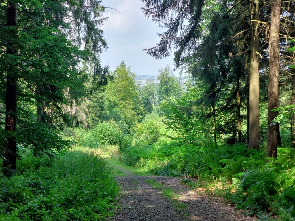 Wanderwg abwärts zum A4