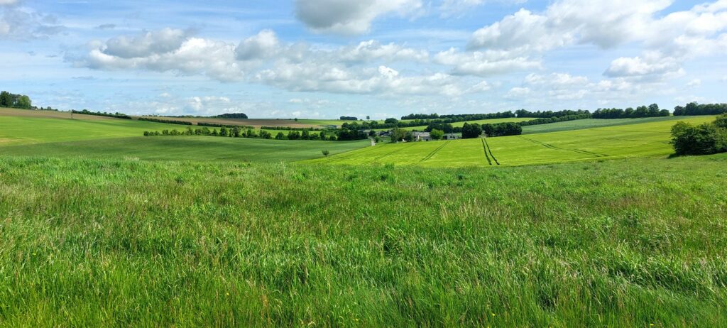 Panoramasicht mit Anwesen in Talmulde