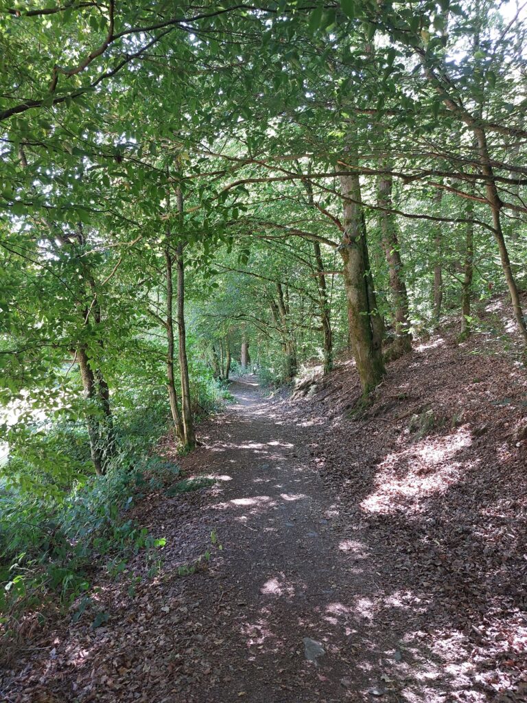 Pfad am Spreeler Bach nahe Beyenburg