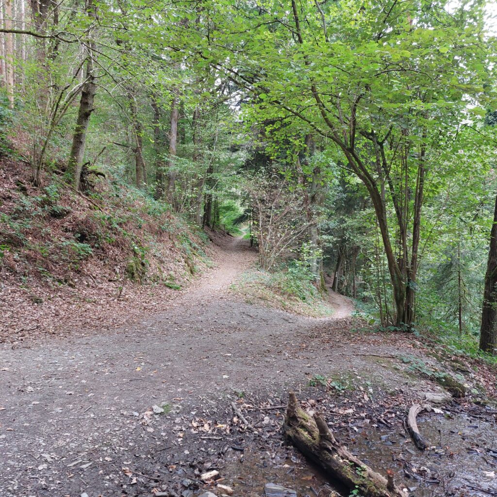 Am Kallenfelsbach