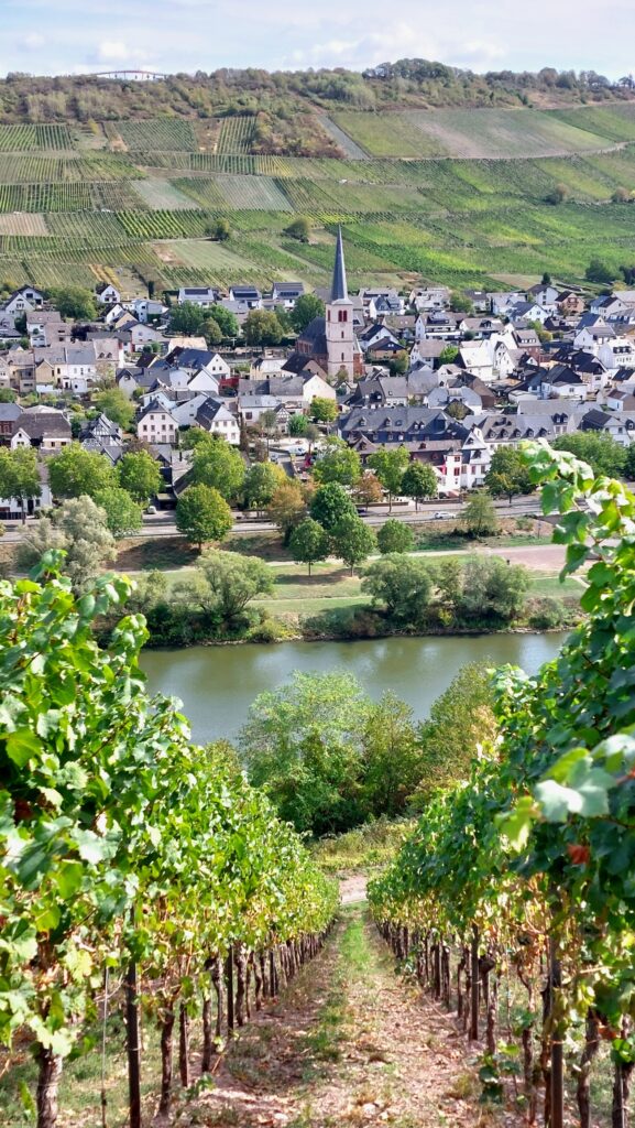 Zeltingen-Rachtig